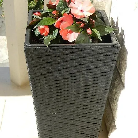 Darka Apartamento